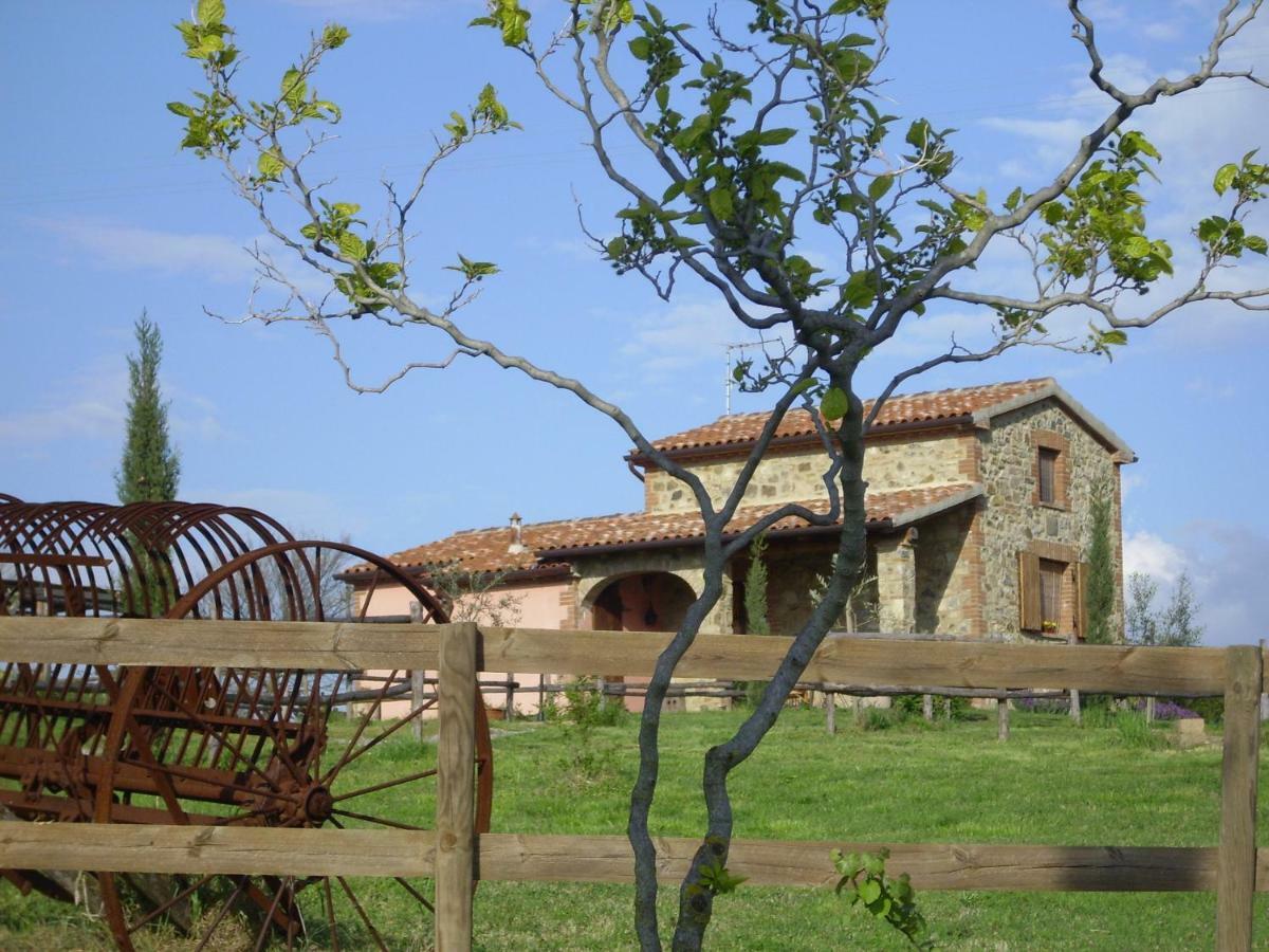格罗塞托 Agriturismo Il Feudo旅馆 外观 照片