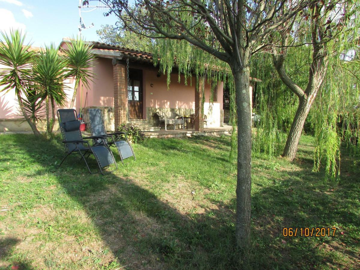 格罗塞托 Agriturismo Il Feudo旅馆 外观 照片